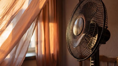 Picture of a fan